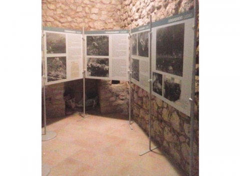 Pannelli espositivi: LINEA  EXPO'