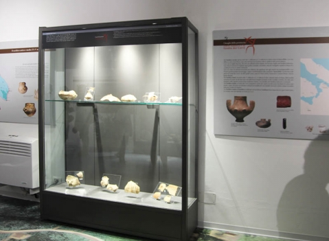 Vetrine espositive per musei della linea Argurion Museo Castello Aragonese di Otranto