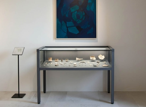 Vetrine espositive per musei della linea Argurion 