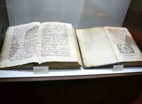 Vetrina espositiva per musei della linea Theca