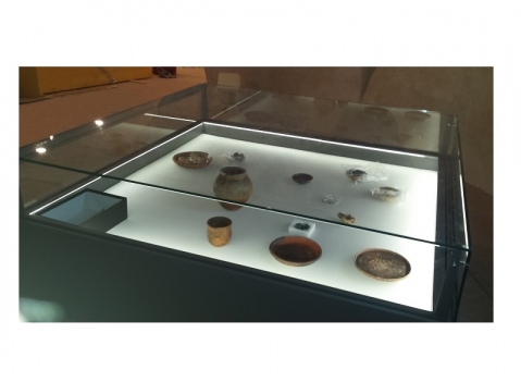 Vetrina espositiva per museo della linea Theca